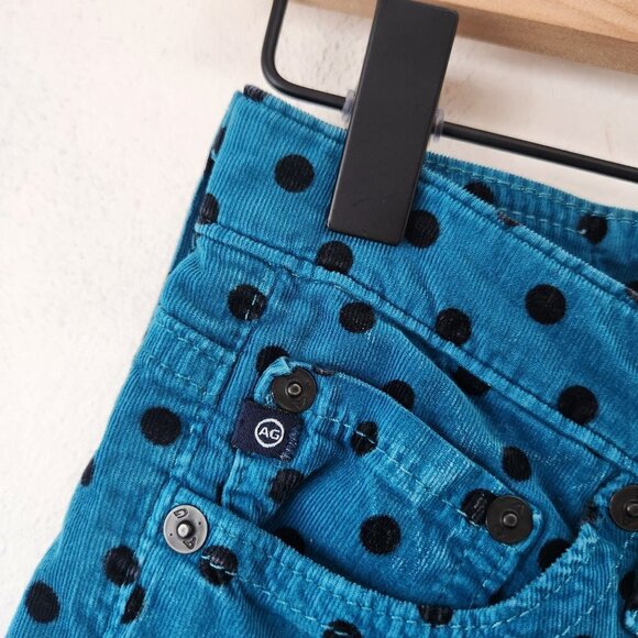 Adriano Goldschmied The Stevie Ankle Slim Straight Leg Corduroy Pants Jeans 25R - Picture 5 of 11